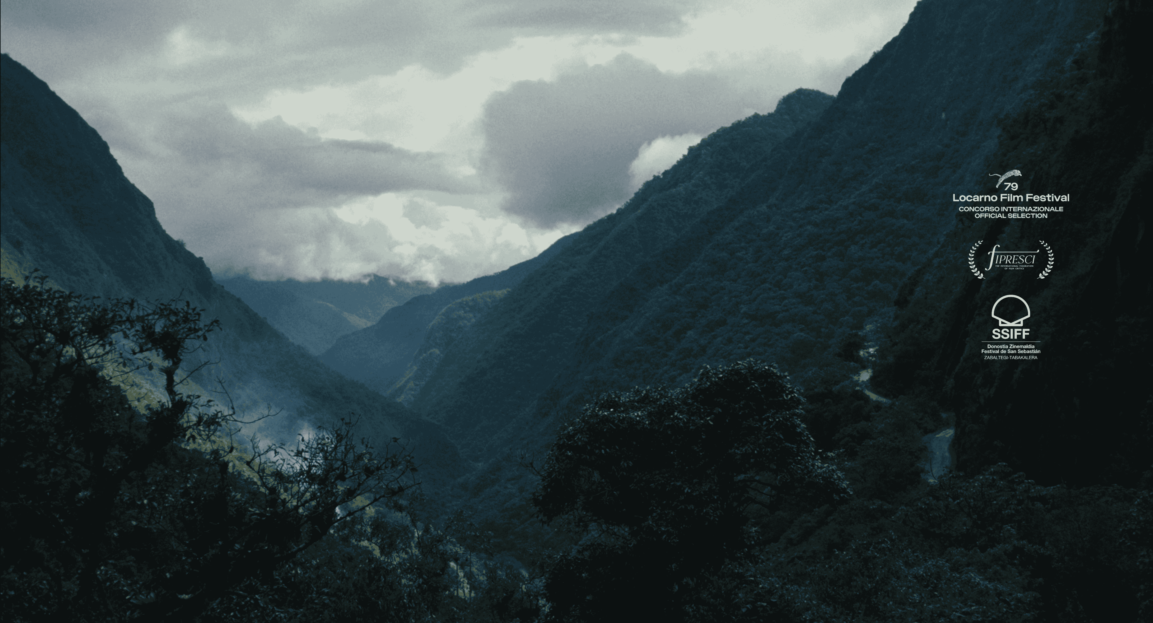 Lejos de los árboles